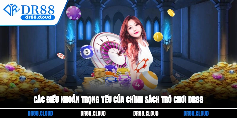 Các điều khoản trọng yếu của chính sách trò chơi DR88