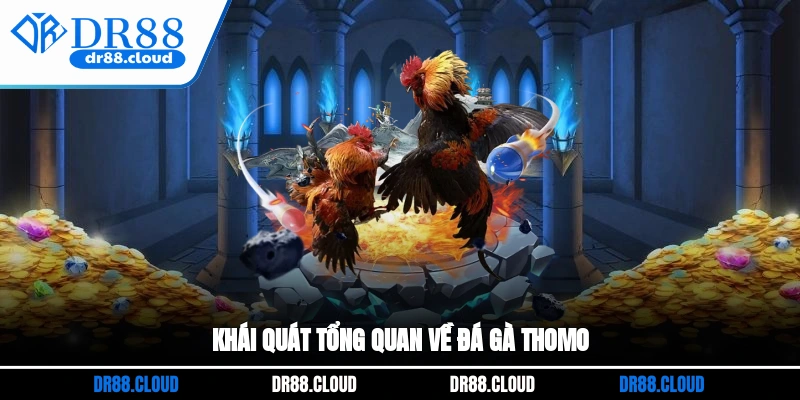 Khái quát tổng quan về đá gà Thomo