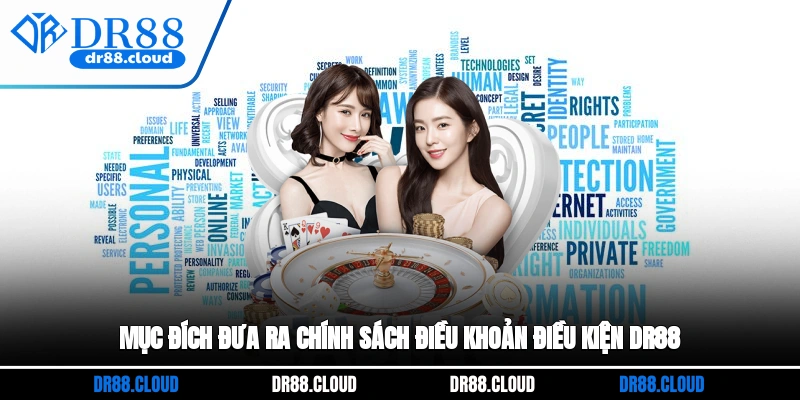 Mục đích đưa ra chính sách điều khoản điều kiện DR88